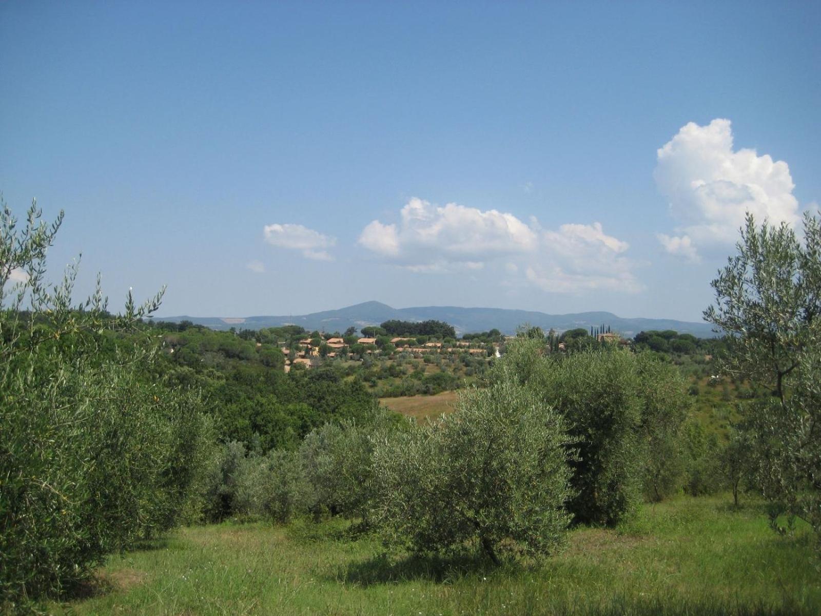 Il Borgo Centro Vacanze Guardistallo Bagian luar foto