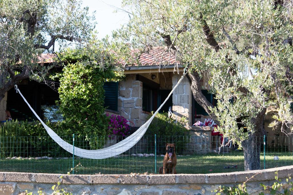 Il Borgo Centro Vacanze Guardistallo Bagian luar foto